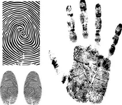 Fig. 3: Fingerprints for finding reference point Fig. 3: Fingerprints for finding reference point