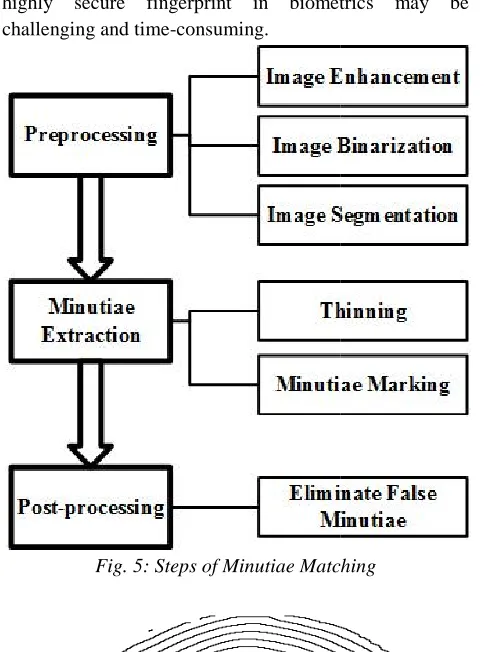 Fig. 5: Steps of Minutiae Matching Fig. 5: Steps of Minutiae Matching