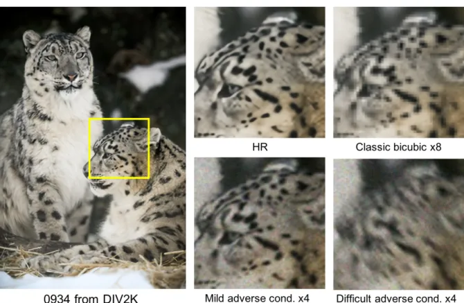Figure 1.3: An example of given images for NTIRE 2018 challenge on image super-resolution.