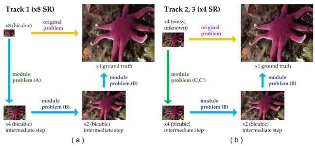 Figure 1.4: (a) Module based approach for Track 1 SR problem. (b) Module based approach for Tracks 2, 3 SR problems