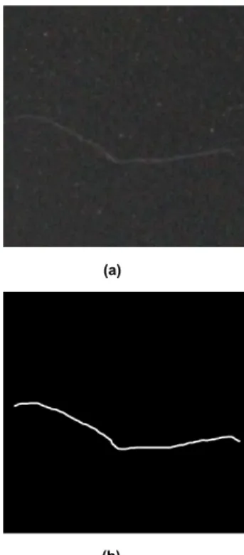 FIGURE 4. Training set input image and output image. (a) Input image.