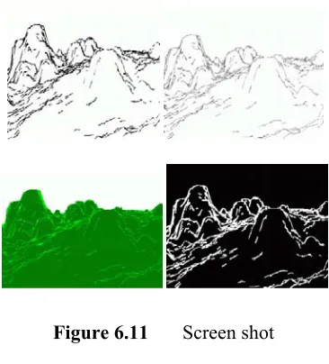 Figure 6.11 