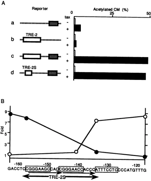 FIG. 3.ingthecells,fected Effects of mutations at the Ets-binding sites on enhanc- activity of TRE-2
