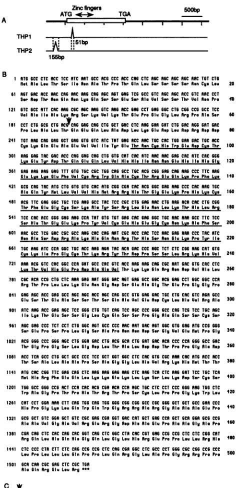 FIG. 7.GLIdine, Comparison of zinc finger motifs of THP with those of and GLI-3. Identical residues are boxed