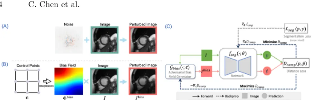 Fig. 1: (A) Adversarial example construction with additive gradient-based noise in VAT [20]; (B) Adversarial example construction with a multiplicative  con-trol point-based bias field (proposed); (C) Adversarial training with bias field perturbation.