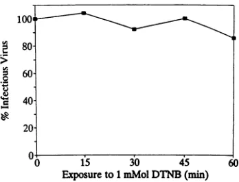 FIG. 3.wasthatdescribedremaining Direct effect of DTNB on Sindbis virus infectivity. Virus exposed to 1 mM DTNB for various periods of time, and infectious virus was titrated on BHK monolayers as in the text
