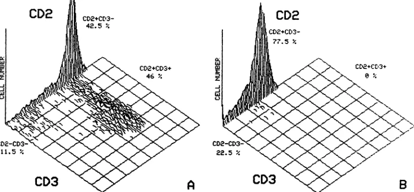 FIG. 2.thymocytes.Immature Two-color immunofluorescence cell surface analysis of the distribution of CD2 and CD3 antigen on unseparated and immature Thymocytes were stained with anti-CD2-PE and anti-CD3-fluorescein isothiocyanate