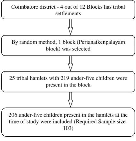 Figure 1: Study protocol. 