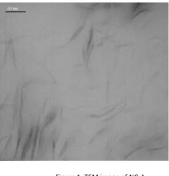 Figure 1. TEM image of NC‐4. 