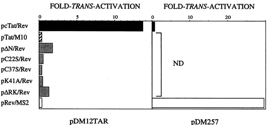 FIG. 3.offull-lengthplasmid,transfectionsResults the Activities of hybrid Tat/Rev proteins on TAR and operator RNA targets