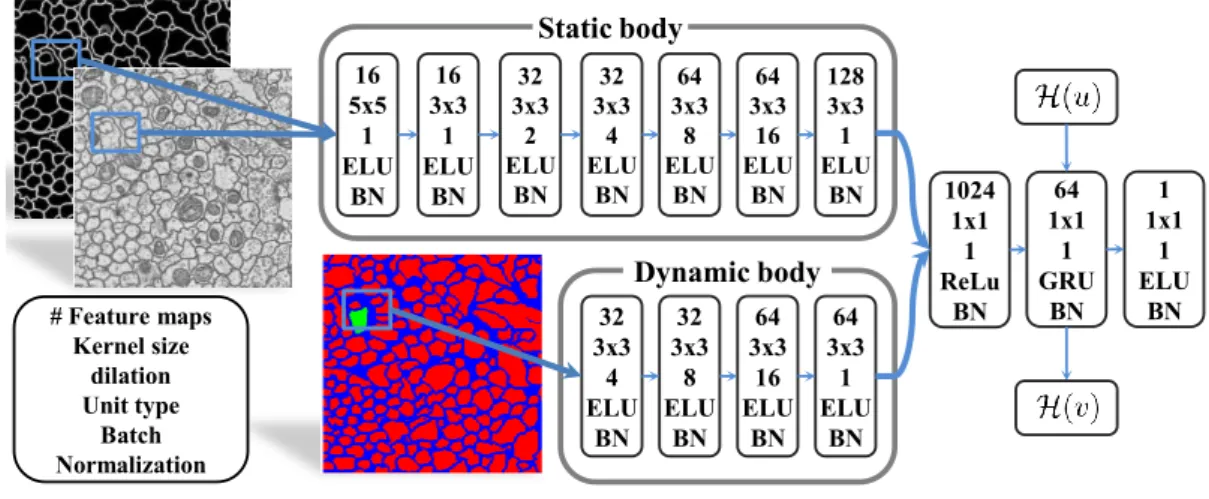 Figure 2.3: Neural Network architecture: The static body extracts features from the raw input and edge detector output