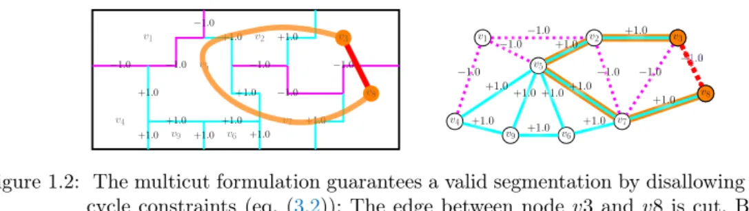 Figure 1.2: The multicut formulation guarantees a valid segmentation by disallowing violated cycle constraints (eq