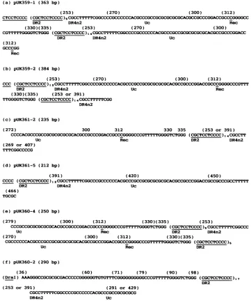 FIG. 4.of2b).GN29.areright two Nucleotide sequences of cloned, unusual DNA fragments containing a sequences not directly derived from the a sequence of The names of hybrid plasmids carrying the unusual DNA fragments containing a sequences are shown, and le