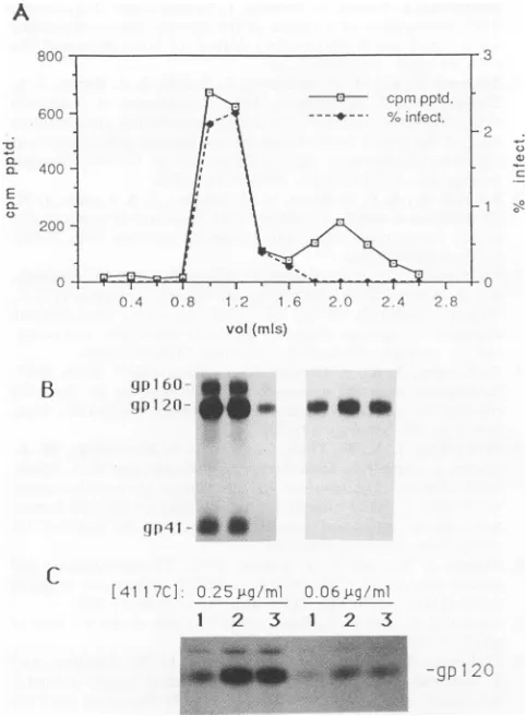 FIG. 5.for41148D,Concentrationscosamine-labeled(laneanti-V3agarose Enhancement of 1125H binding to soluble gpl20mN by HuMAb