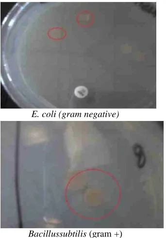 Fig. 4: Samples containing 2 mg of silver nanoparticles per 