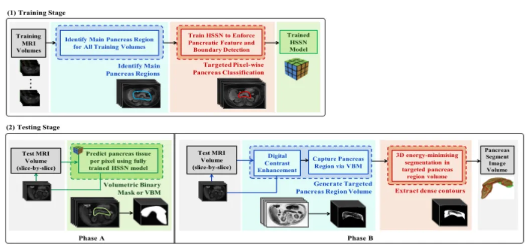Fig. 1: Overview of proposed approach. (1) develop the HSSN deep learning model using training MRI; and (2) apply the test MRI to generate segmented pancreas volume.