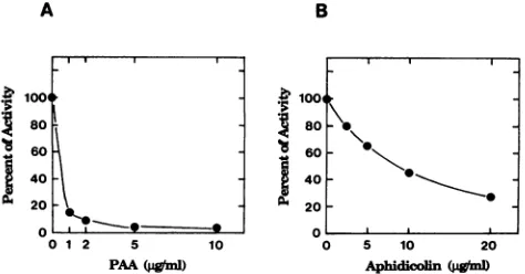 TABLE 1. Summary of purification of the BALF5 protein expressed in SF9 cells