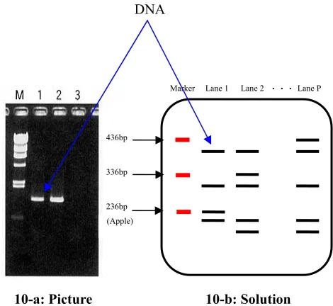 Figure 8:  Molecular knowledge based system