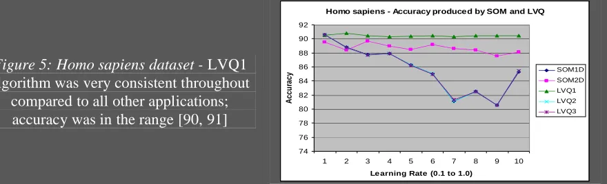 Figure 5: Homo sapiens dataset - LVQ1 algorithm was very consistent throughout 
