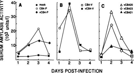 FIG.2.viruses,mericievirusamylaseSerum amylase activity of mice infected with coxsack-B4.B1O.T(6R)micewereinfectedwithparentalstock viruses derived from cDNA clones,or recombinant, viruses and bled from the tail veinchi- at various times p.i