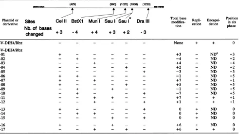 TABLE 2. Replication ability of DI-H4 RNA and its derivativesa