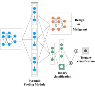 Fig. 2. The structure of pyramid pooling module