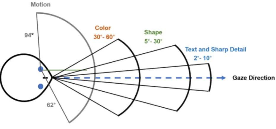 Fig. 2. Field of view and visual acuity