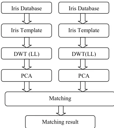 Figure 1: Iris Recognition Flow Diagram. 