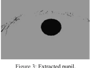 Figure 4: Eroded image 