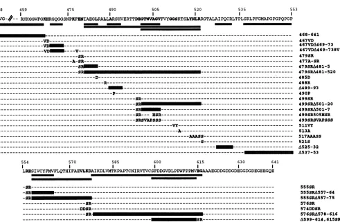 FIG. 2.thepolypeptide Structure of the deletions and point mutations used in this study