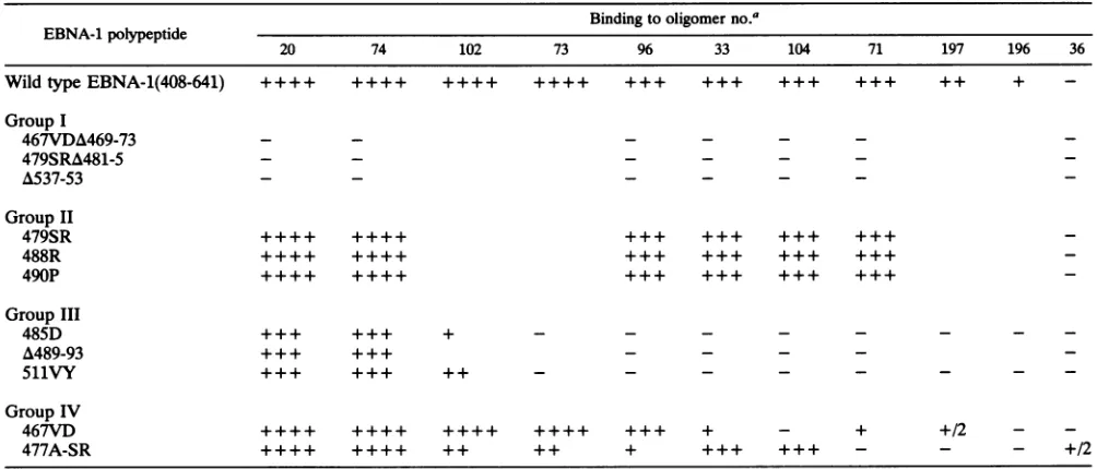 FIG. 8.ofspanningDNAthesubstitutions EBNA-1.FIG. 8... LocationLoato ofof th.ieiainad the dimerization and N-idnoan DNA-binding domains The predicted secondary structure (5) of the region aa 459 to 607 is shown
