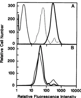 FIG. 4.withWesternofkilodaltons).momaNefamide-SDS prestained Nef expression in transduced AKR1-G1 murine thy- cel!s