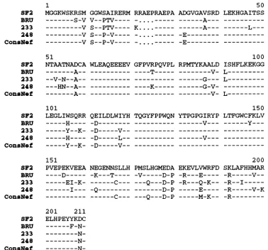 FIG. 8.nef(9). Comparison of the amino acid sequences of five functional Nef proteins