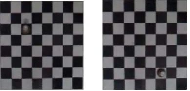 Fig 10. Binary Image with Noise 