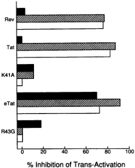 TABLE 2. Species specificity of trans activation by lentivirusTat proteins