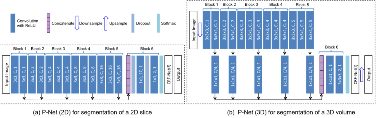 Fig. 3. The CNN structure of 2D/3D P-Net with CRF-Net(f). The parameters of convolution layers are (kernel size, output channels, dilation) in dark blue rectangles