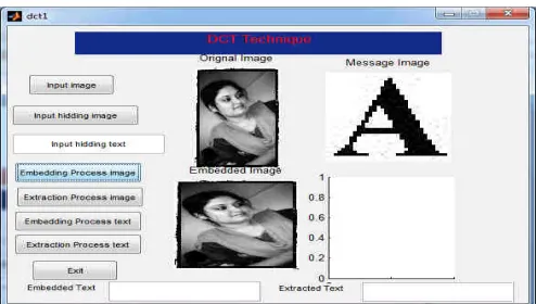 Figure 1.18, shows the original image as inputted image after clicking on input button on which we have to embed the message or image