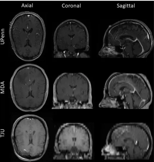 Fig. 3. Overview of the complete framework applied in this study leading to results for further analyses.