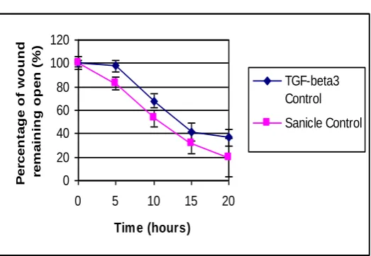 Figure 8. Speed of wound closure with TGF-addition. 