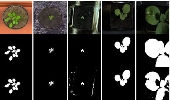 Figure 2.4: Sample images with corresponding binary segmentations: original RGB images (top row), corre- corre-sponding ground truth segmentations (middle row), and our segmentation results generated by SegNet (bottom row).