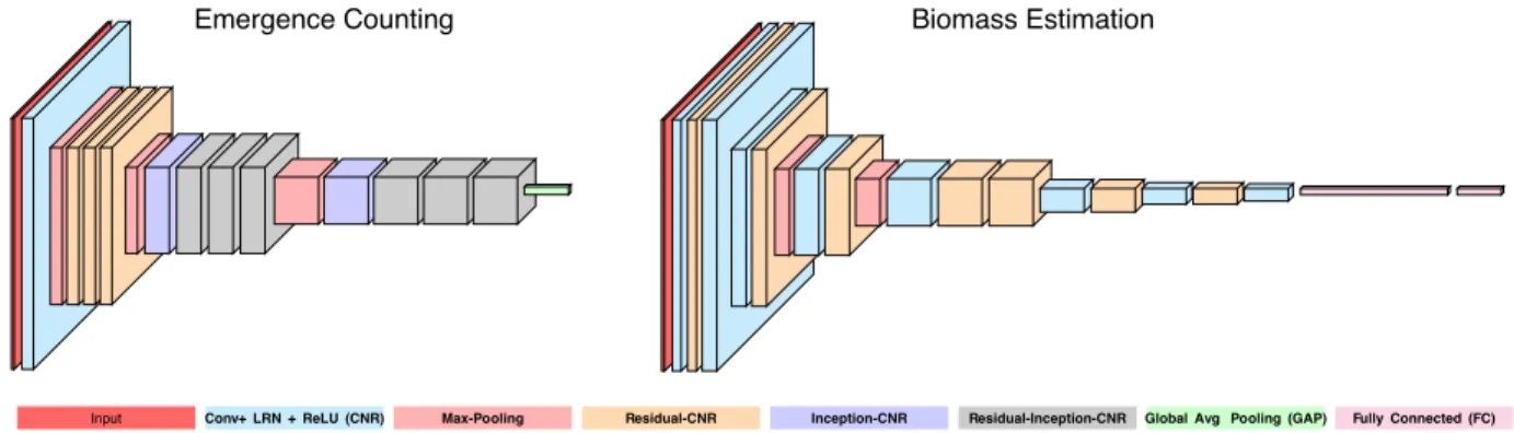 Figure 3.4: Emergence and biomass estimation architectures. We use 7 × 7 receptive fields in the initial CNR block with unit stride