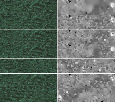 Figure 3.6: Sample RGB plot images (left) with corresponding DEMs (right) showing the original image (top row) and images generated by our RMRS data augmentation procedure (other rows)
