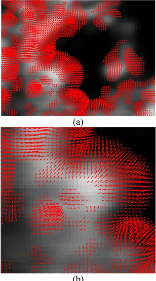 Fig. 6. (a) Computed optical flow of two consecutive thth
