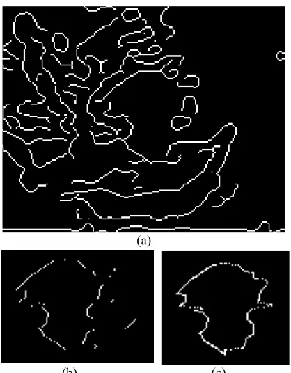 Fig. 7. (a) Computed global Canny edge of 4(b)                                         (c) th frame; (b) Initial inner boundary and (c) final smoothed boundary 