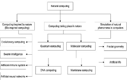 Figure 1.1  Taxonomy of natural computing branches (Alsalibi et al., 2014) 