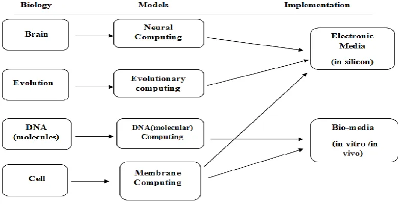 Figure 1.2 Natural Computing inspiration in various studies (Woodworth, 2007) 
