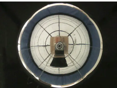 Figure #7: Calibration Image with Concentric Circles set 1 ft. apart   