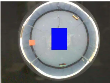Figure #10: Example Image for OV Camera.  There are three targets in the image; a yellow  EvBot at 2 o’clock, a red target at 9 o’clock, and a green EvBot at 6 o’clock