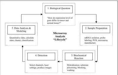 Figure 1.3: Microarray analysis cycle