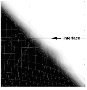 Figure 7: Contour Plot of Solution to Wave Equation at y = 12